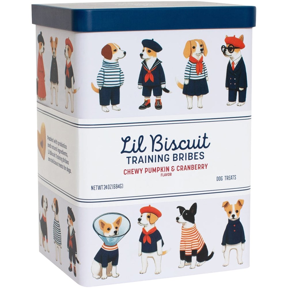 Training Bribes Decorative Tin