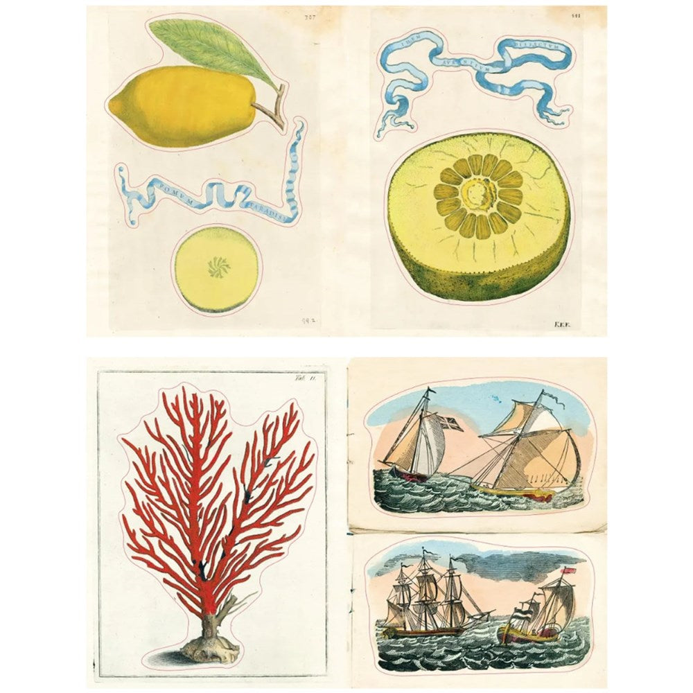 John Derian Sticker Book II