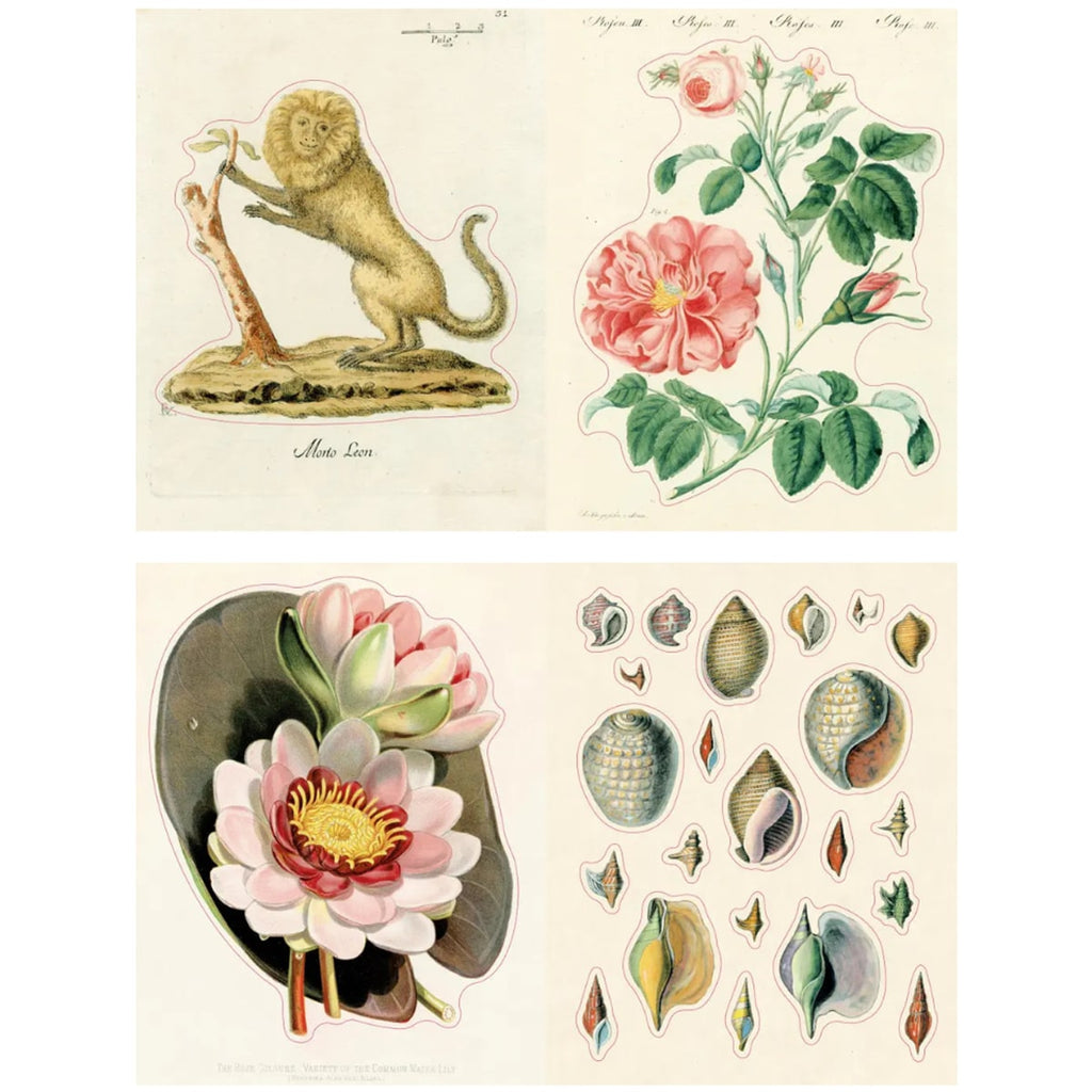 John Derian Sticker Book II