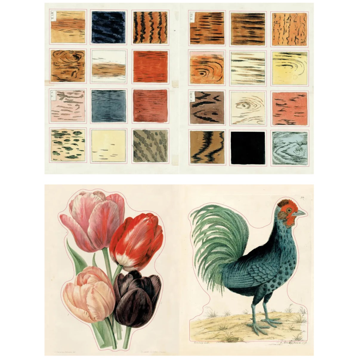 John Derian Sticker Book II