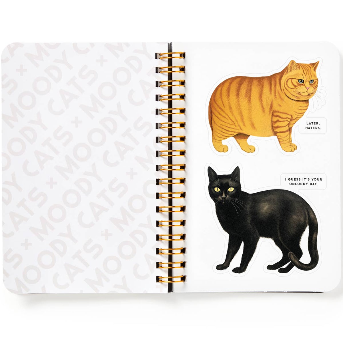 Brass Monkey Moody Cats Sticker Book
