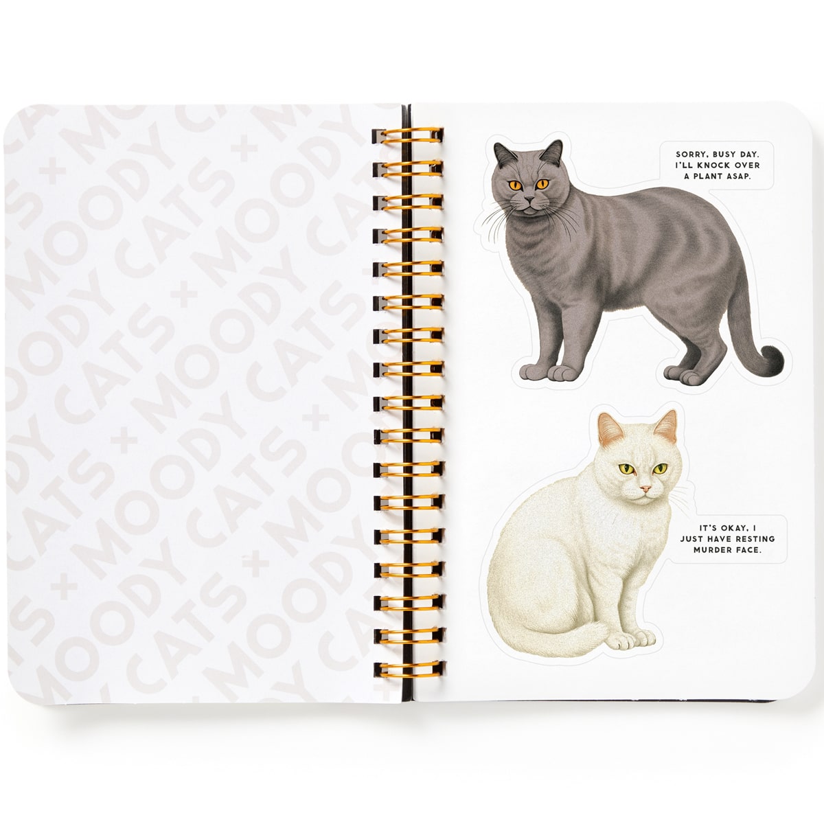Brass Monkey Moody Cats Sticker Book